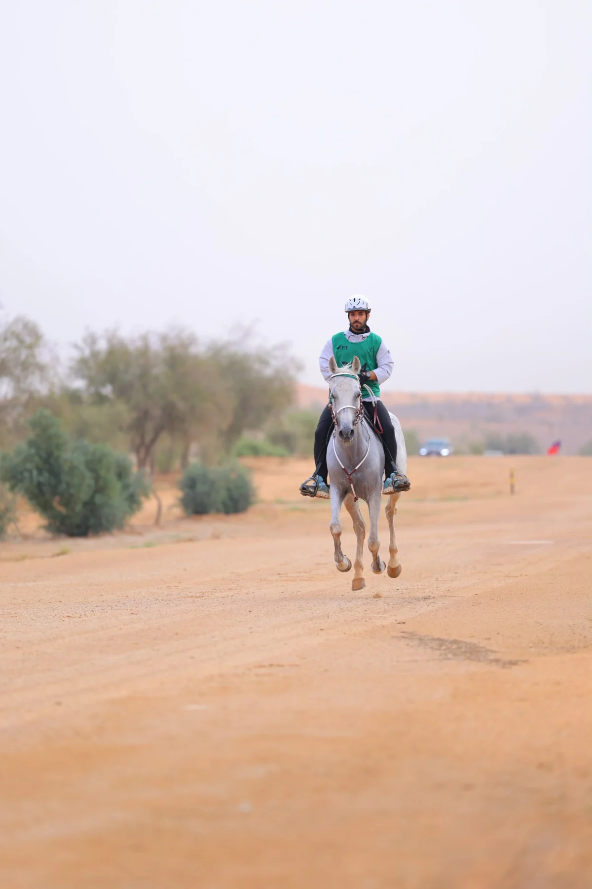 فارس على مسار القدرة